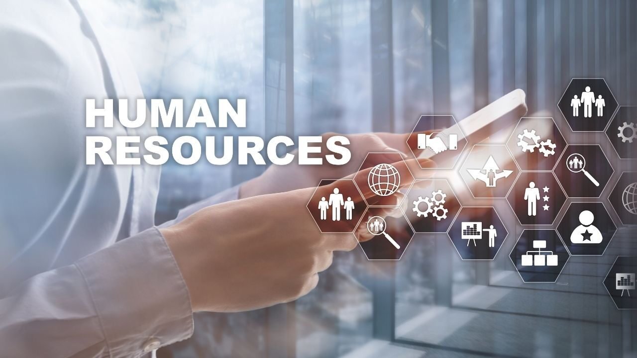 best HR software for startups